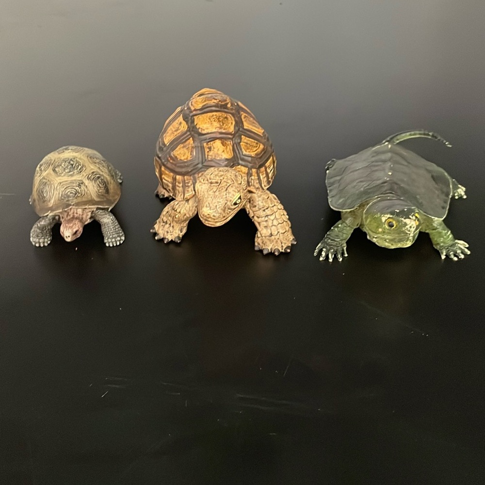 Turtle and Tortoise Action Figure Set
